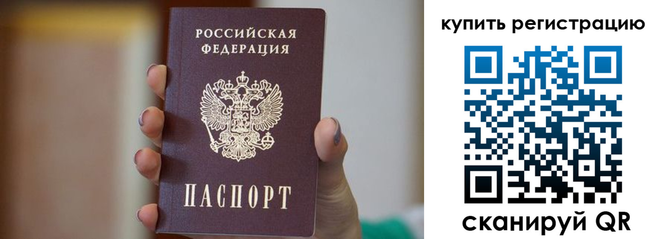 прописка в Кондрово